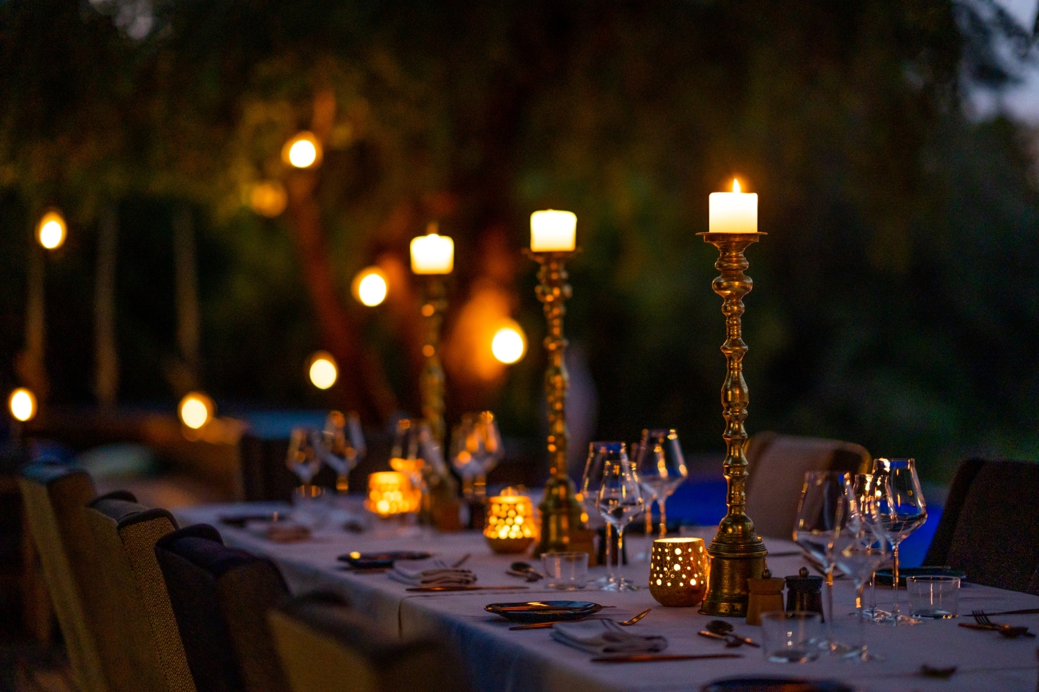 7-silvan-safari-candlelit-dining-experience.jpg