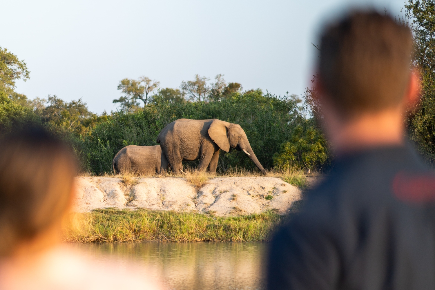 5-couple-observing-elephants-from-a-distance-while-on-a-walking-safari.jpg