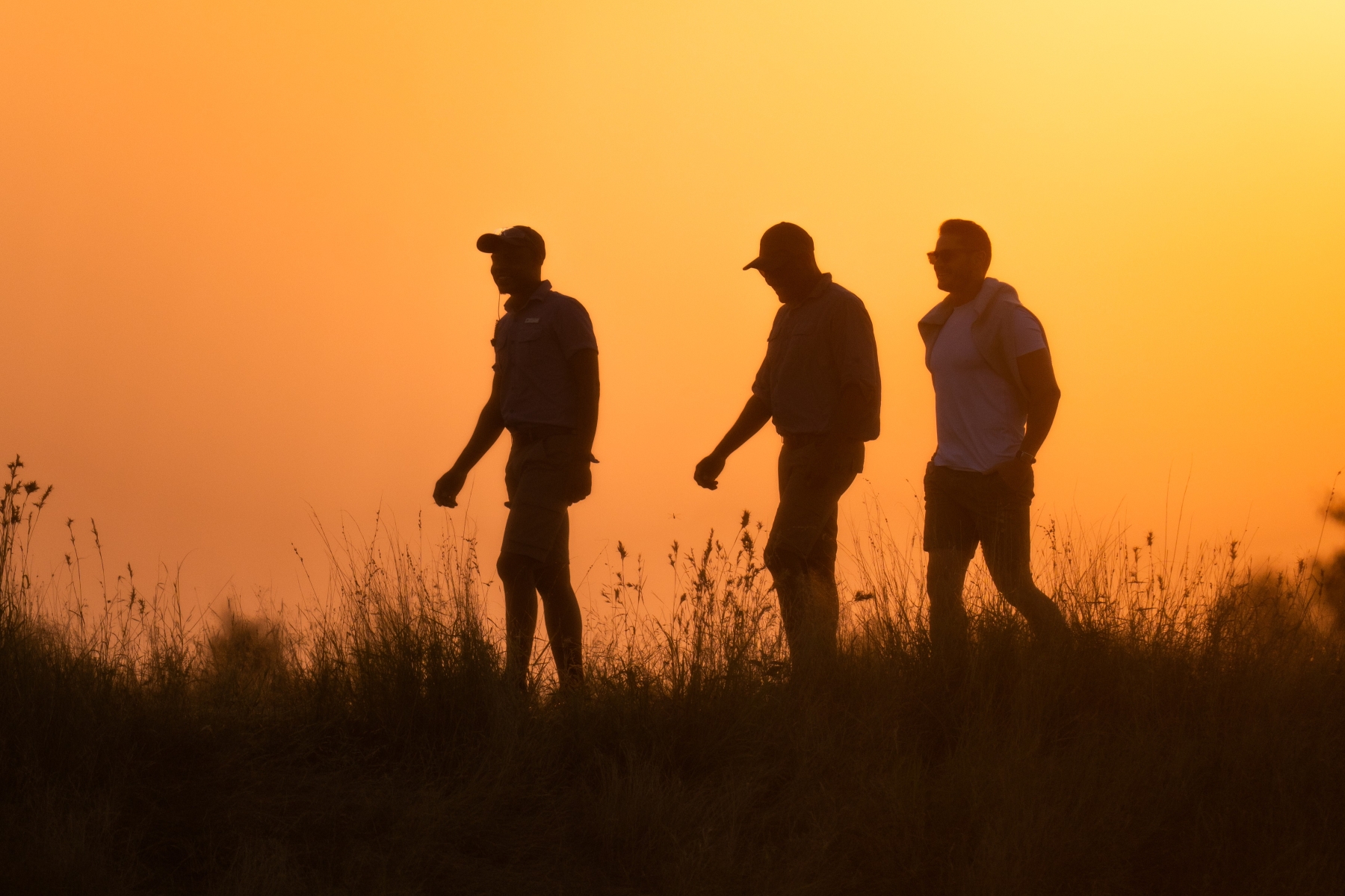 a-guest-tracker-and-guide-walk-along-a-ridge-in-silhouette-against-a-vibrant-orange-sunset-sky.jpg