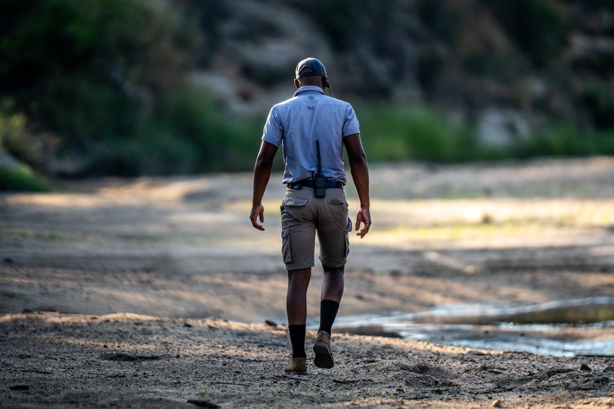 elly-tracker-silvan-safari.jpg