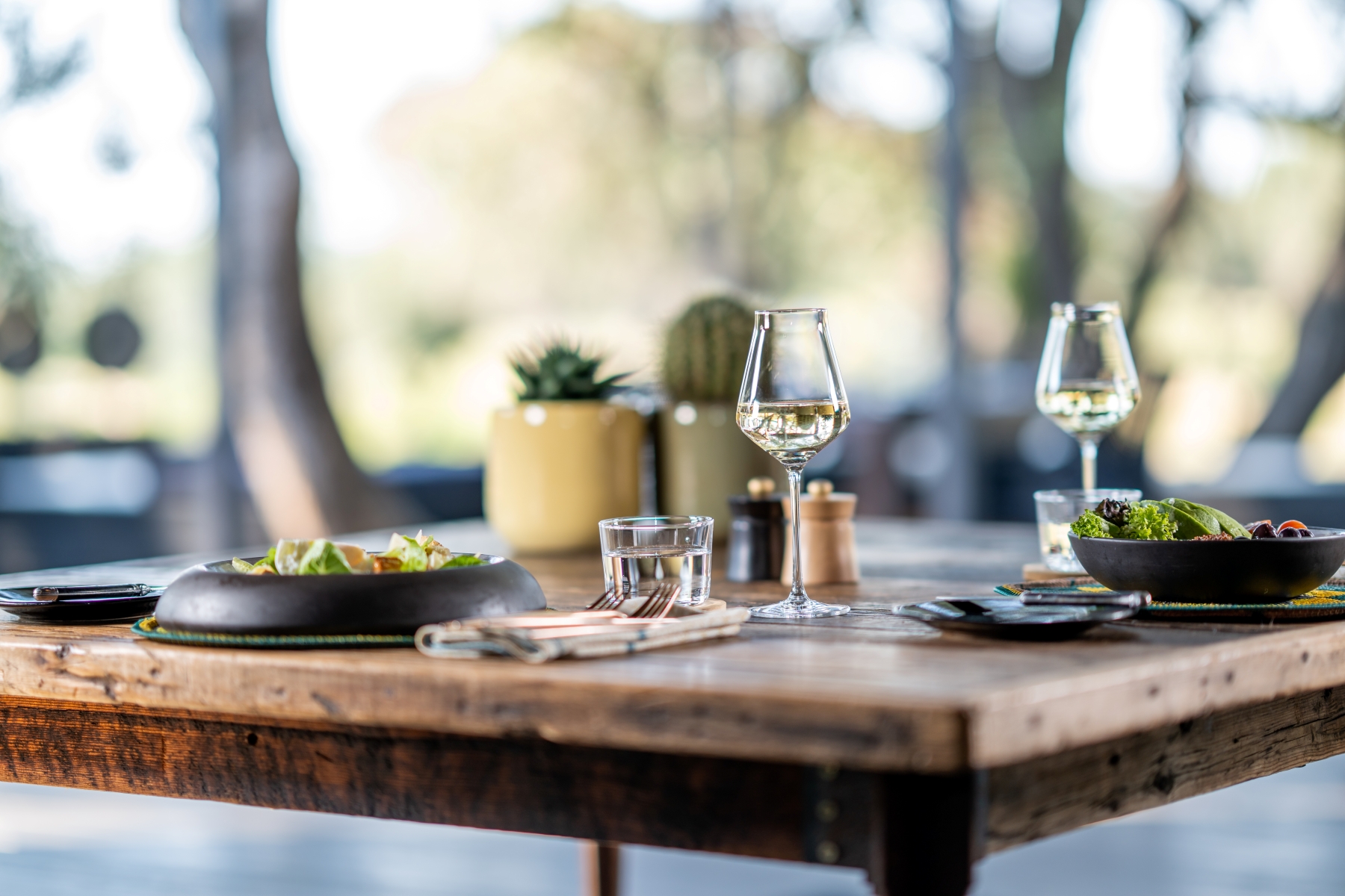 a-close-up-of-a-wooden-table-set-with-salads-and-white-wine.jpg