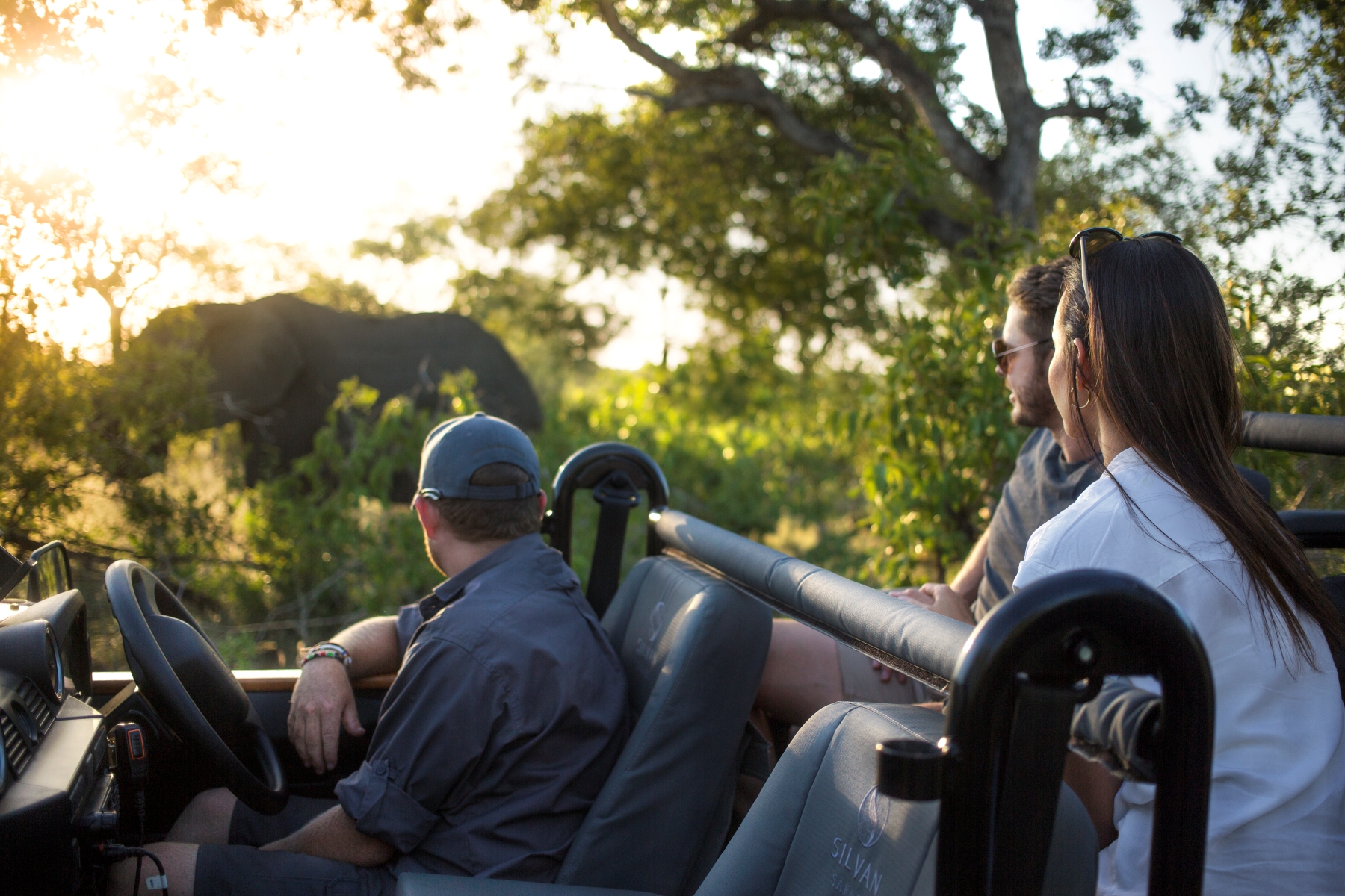 guests-in-an-open-vehicle-watch-an-elephant-through-sunlit-bush.jpg