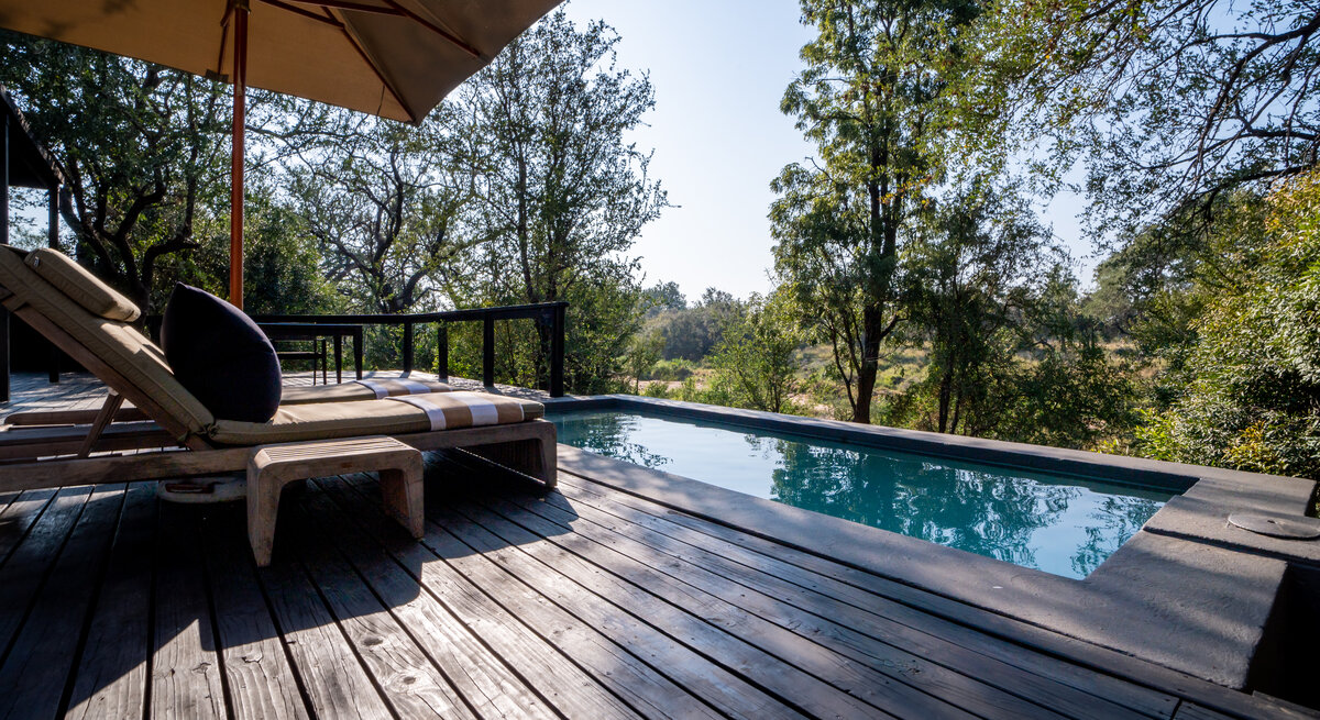 Tree Wisteria Suite deck