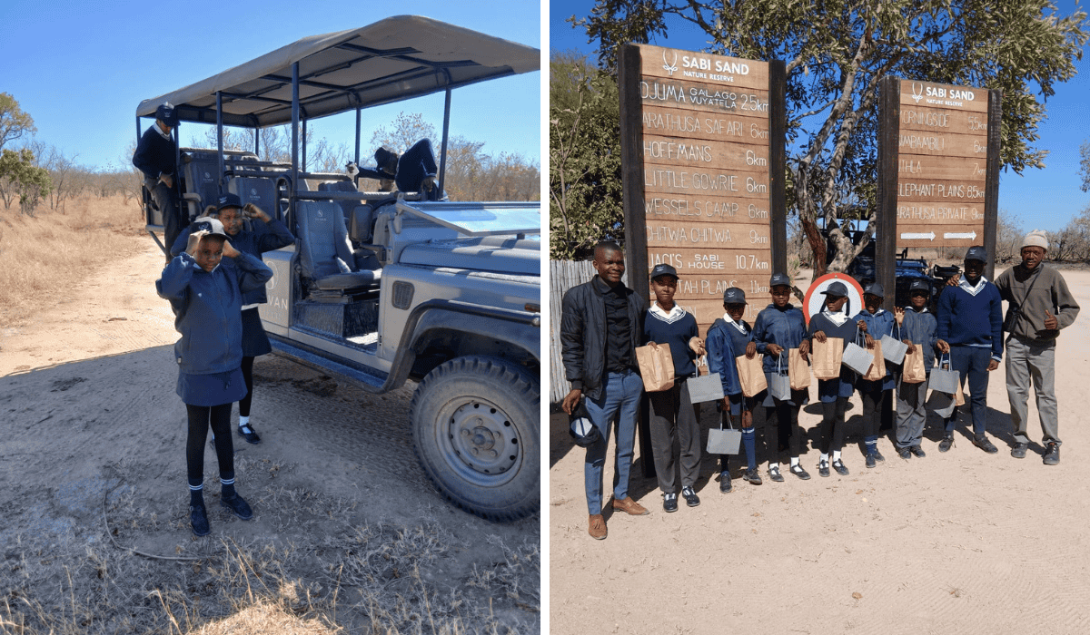 school-safari-sabi-sand-silvan-safari-collage-1.png