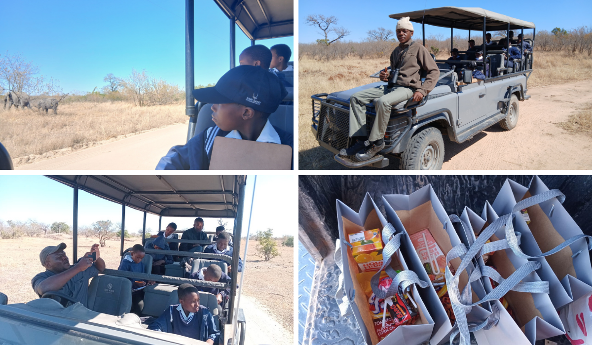 school-safari-sabi-sand-silvan-safari-collage-2.png
